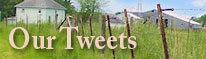 Our Blog